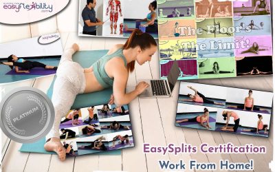 Easy Splits Certification Course – 28 Lessons