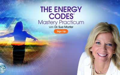 Sue Morter – The Energy Codes Mastery