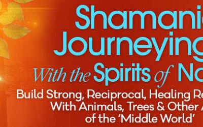 Sandra Ingerman – Shamanic Journeying With the Spirits of Nature