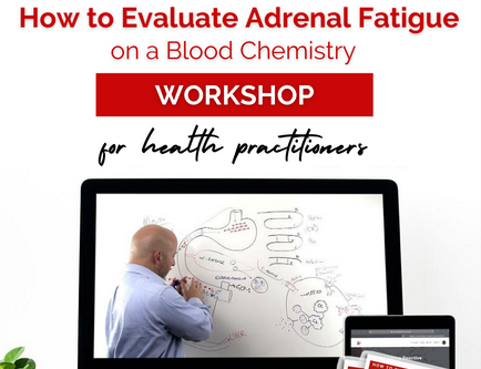 Bryan Walsh – Metabolic Fitness – How To Evaluate Adrenal Fatigue on a Blood Chemistry