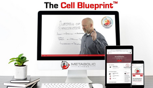 Bryan Walsh – Metabolic Fitness – The Cell Blueprint