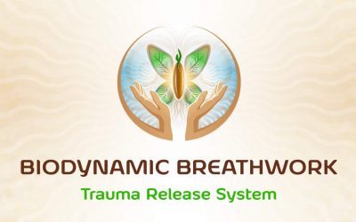 BioDynamic Breathwork & Trauma Release System