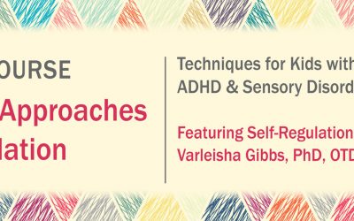 Varleisha D – Certificate Course in Neurological Approaches for Self-Regulation: Techniques for Kids with Autism, ADHD & Sensory Disorders