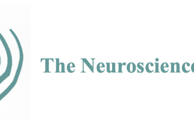 The Neuroscience School – Work with Your Brain, Not against Your Brain Part 2