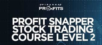 Adam Khoo – Piranha Profits – Stock Trading Course Level 2: Market Snapper™