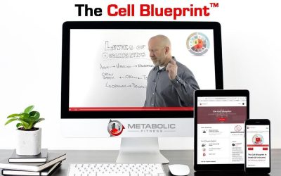 Bryan Walsh – Metabolic Fitness – The Cell Blueprint™