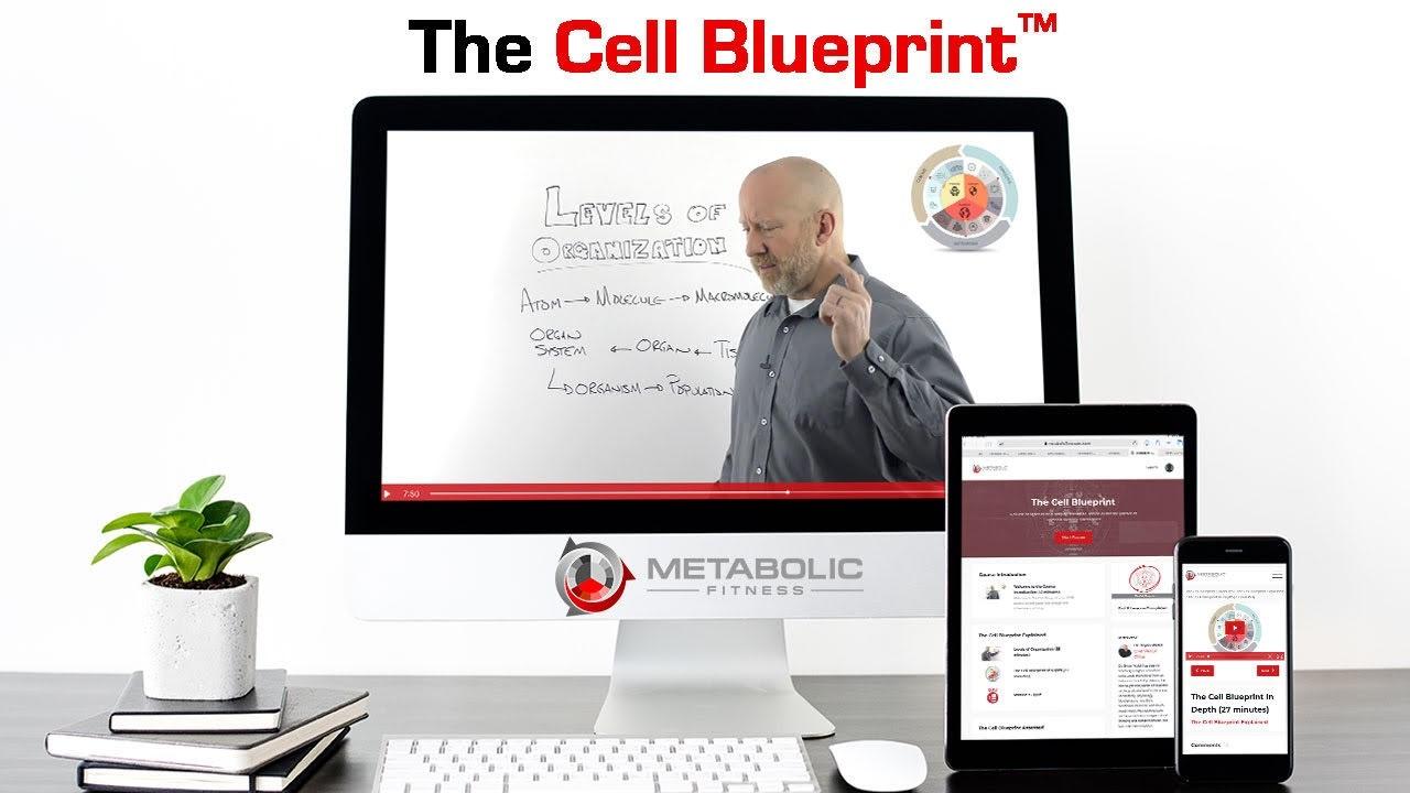 Bryan Walsh – Metabolic Fitness – The Cell Blueprint™