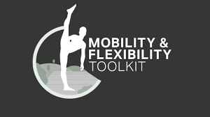 Matthew Smith – The Flexibility Toolkit