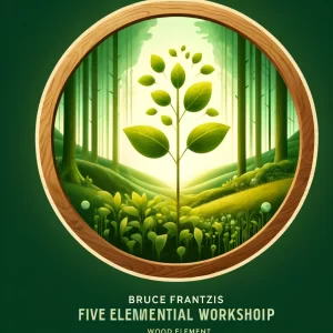 Bruce Frantzis - Five Elements Virtual Workshop