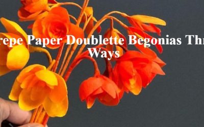 Amity Katharine Libby – Crepe Paper Doublette Begonias Three Ways