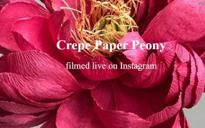 Amity Katharine Libby – Crepe Paper Peony