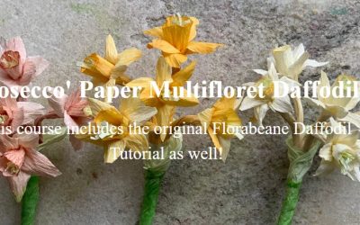 Amity Katharine Libby – ‘Prosecco’ Paper Multifloret Daffodils