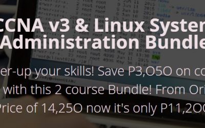 Elena Mofar – CCNA v3 & Linux System Administration Bundle