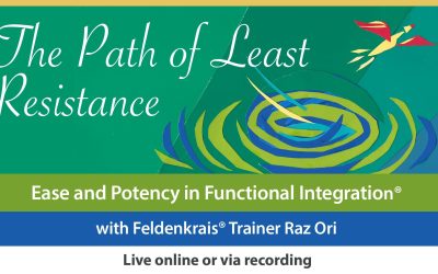 Raz Ori – The Path of Least Resistance