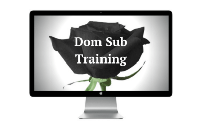 DomSub Living – Dom Sub Training