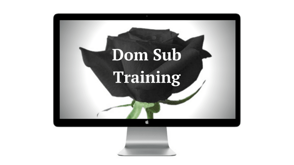 DomSub Living – Dom Sub Training 1