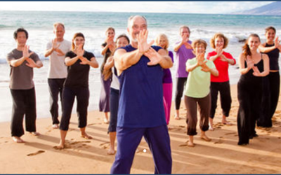 Bruce Frantzis – Energy Arts – Tai Chi for Beginners & Tai Chi for Circling Hands Programs