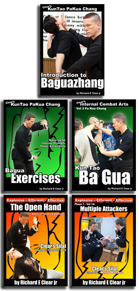 Sigung Clear – Clear’s Bagua Intensive Online Course 1