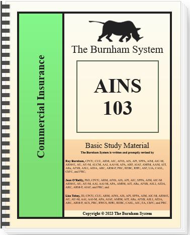 The Burnham System – AINS 103 – Digital & Audio Book