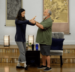 Bruce Frantzis – Sung in Tai Chi