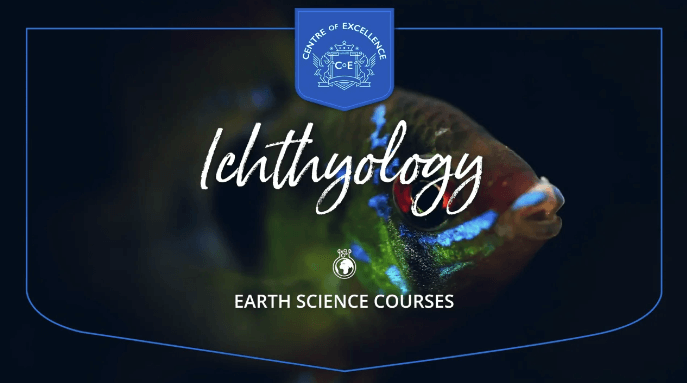 Centre of Excellence – Ichthyology Diploma Course (2)