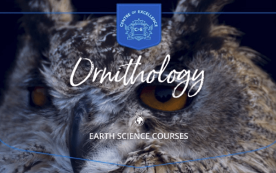 Centre of Excellence – Introduction to Ornithology Diploma Course