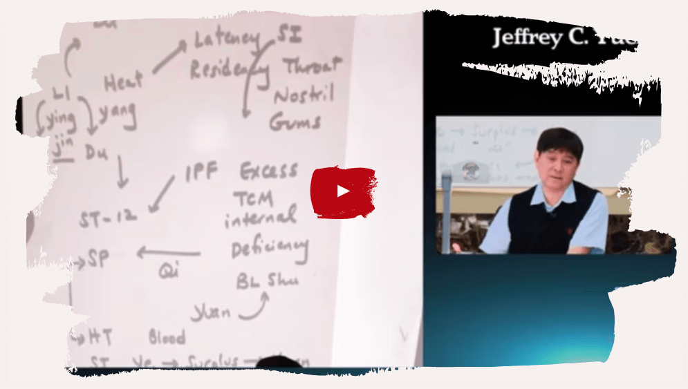 Jeffrey Yuen – The Urinary Bladder Channel of Classical Chinese Medicine (2)