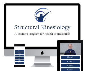 John Maguire – Structural Kinesiology Course Online