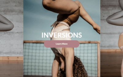 Karin Dimitrovova – Inversions