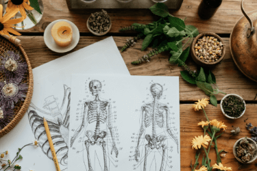 THE HERBAL ACADEMY – Advanced Herbal Course