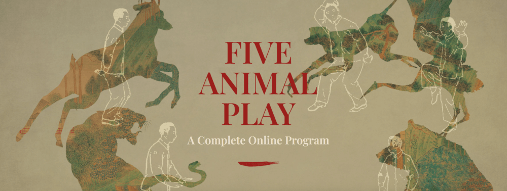 Tom Bisio – Five Animal Play Qi Gong (2)